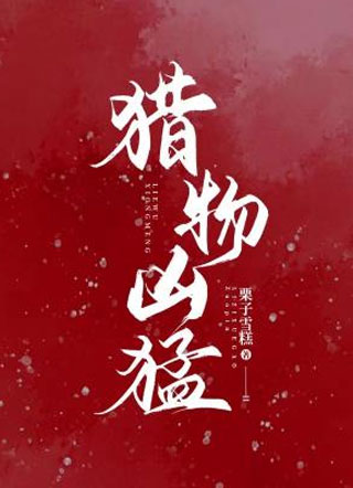 猎物凶猛小说