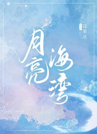 月亮海湾小说
