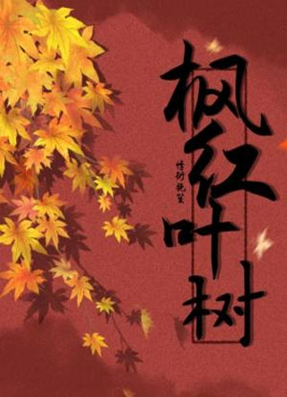 枫红叶树小说