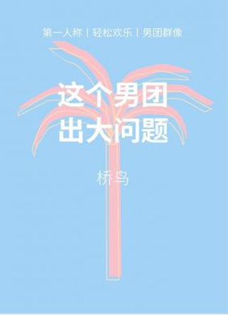 这个男团出大问题小说