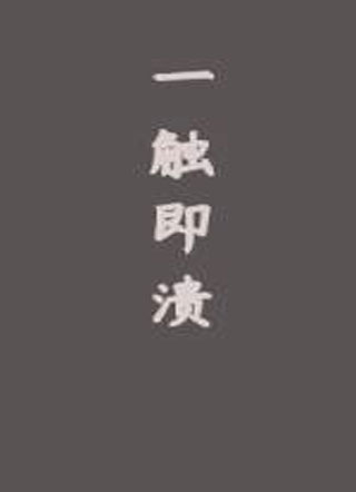 一触即溃小说