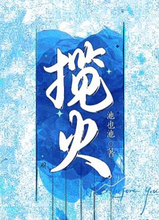 揽火小说
