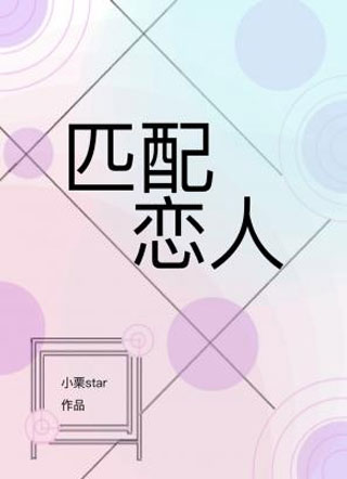 匹配恋人小说