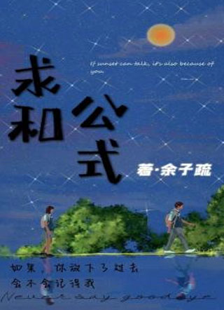求和公式小说