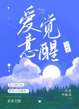 爱意觉醒小说
