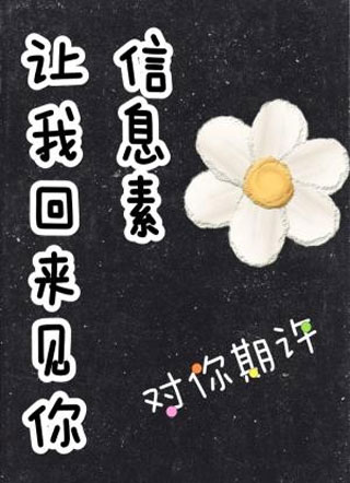 信息素让我回来见你小说