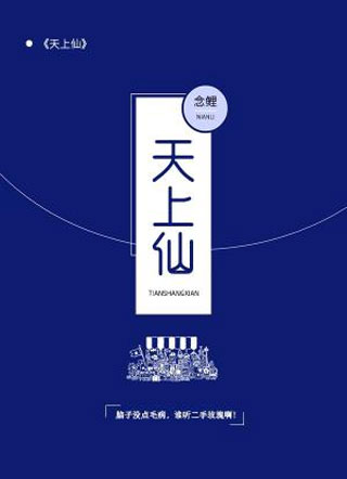天上仙小说