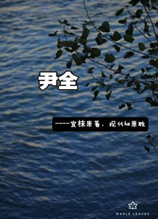尹全小说