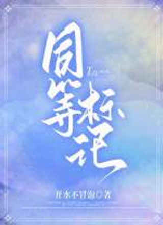 同等标记小说