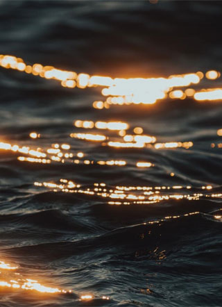 霸王小美人小说