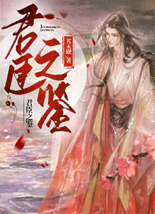 君臣之鉴小说