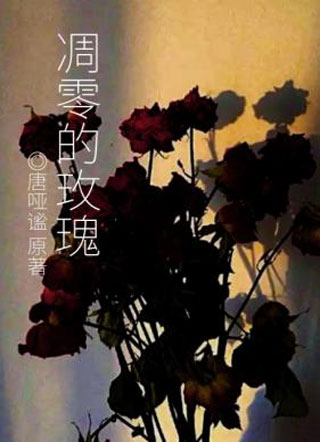凋零的玫瑰小说