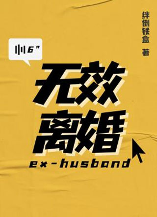 无效离婚小说