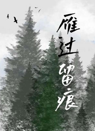 雁过留痕小说