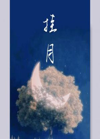 挂月小说