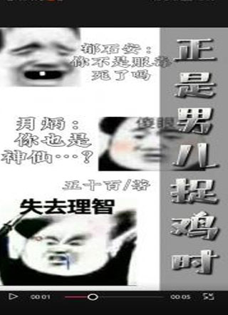 正是男儿捉鸡时小说