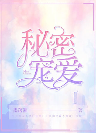 秘密宠爱小说