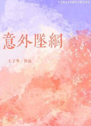 意外坠网七子华小说
