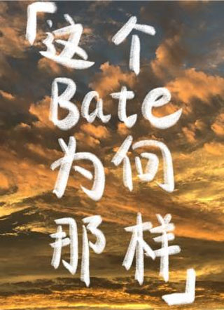 这个Beta为何那样小说