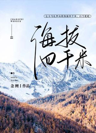 海拔四千米小说