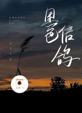 黑色信鸽小说