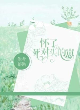 怀了死对头的崽［ABO］小说