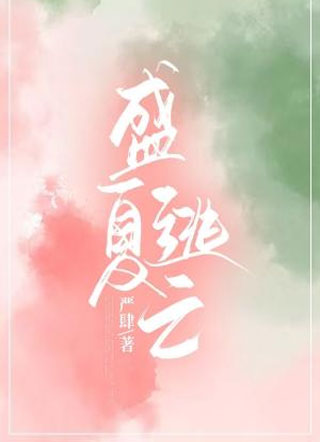 盛夏逃亡小说