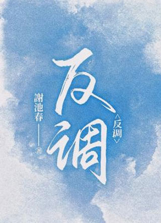 反调小说