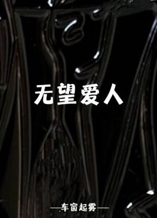 无望爱人小说