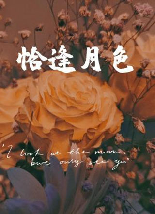 恰逢月色小说