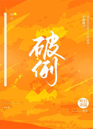 破例小说