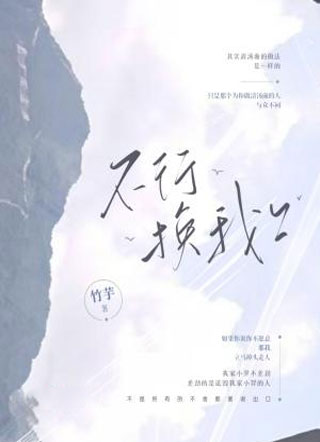 不行换我上小说