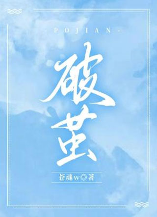 破茧安亦小说