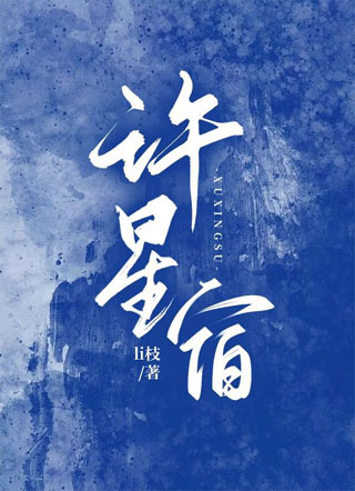 许星宿小说