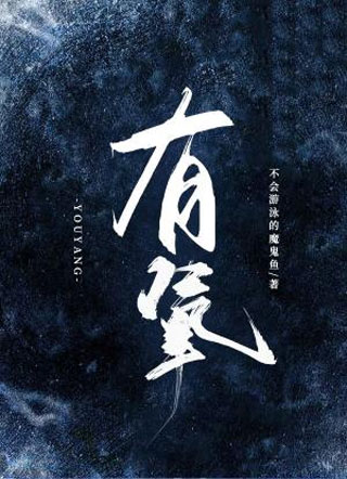 有氧小说