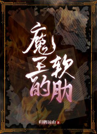 魔王的软肋小说