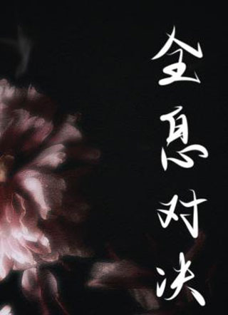 全息对决小说
