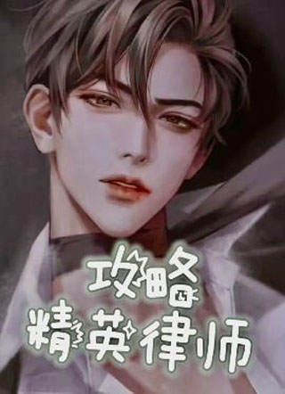 攻略精英律师小说