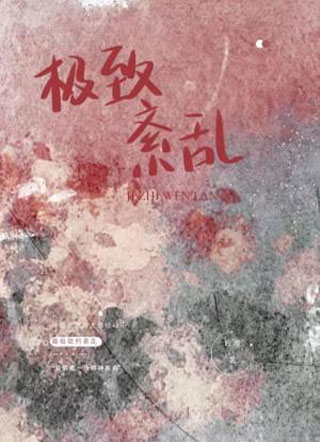 极致紊乱小说