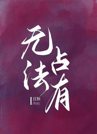 无法占有小说