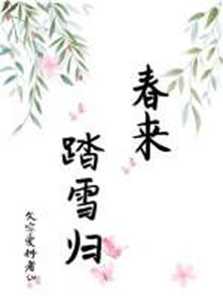 春来踏雪归小说