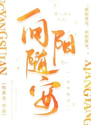 向阳随安小说