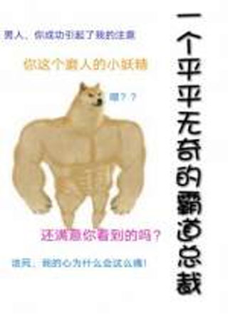 一个平平无奇的霸道总裁小说