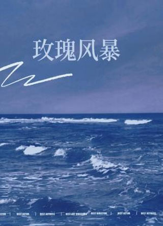 玫瑰风暴小说