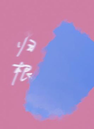 归根小说