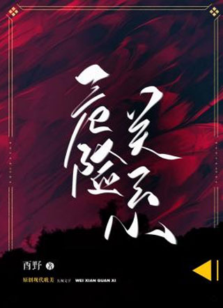 危险关系酉野小说