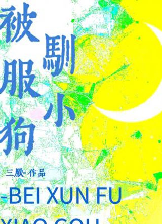被驯服小狗小说