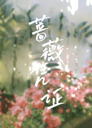 蔷薇凭证小说