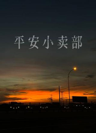 平安小卖部小说
