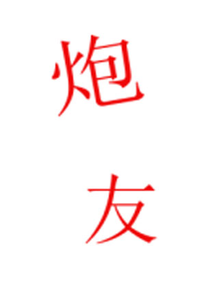 炮友小说